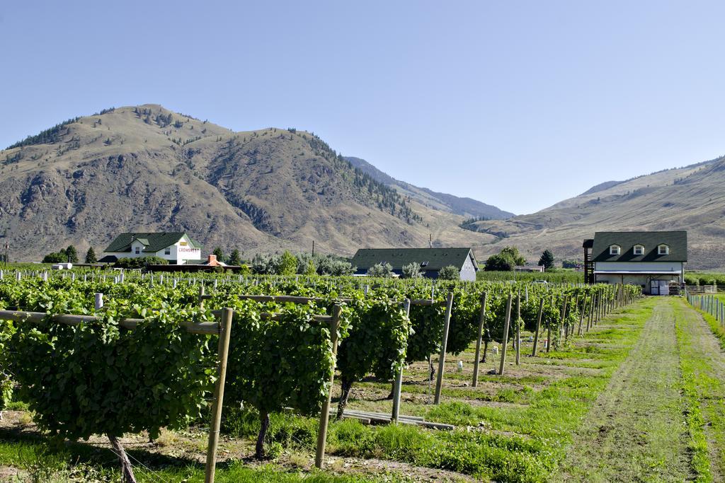 Crowsnest Vineyards Guesthouse Keremeos Exterior foto