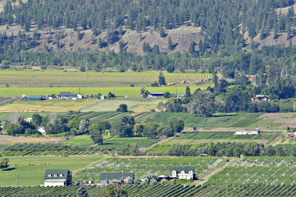 Crowsnest Vineyards Guesthouse Keremeos Exterior foto