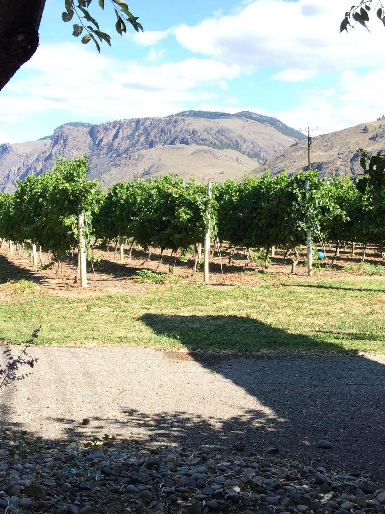Crowsnest Vineyards Guesthouse Keremeos Exterior foto